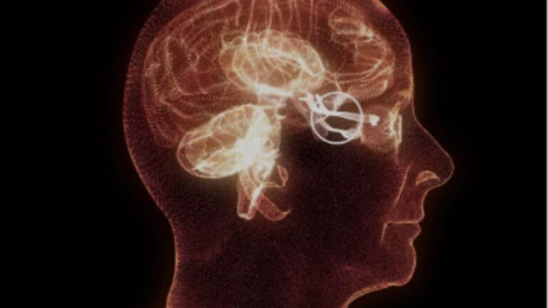 40代は“体の曲がり角”。婚活で勝つための「体型管理」と「清潔感」の科学